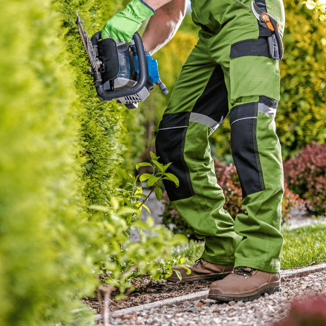 Hedge Trimming