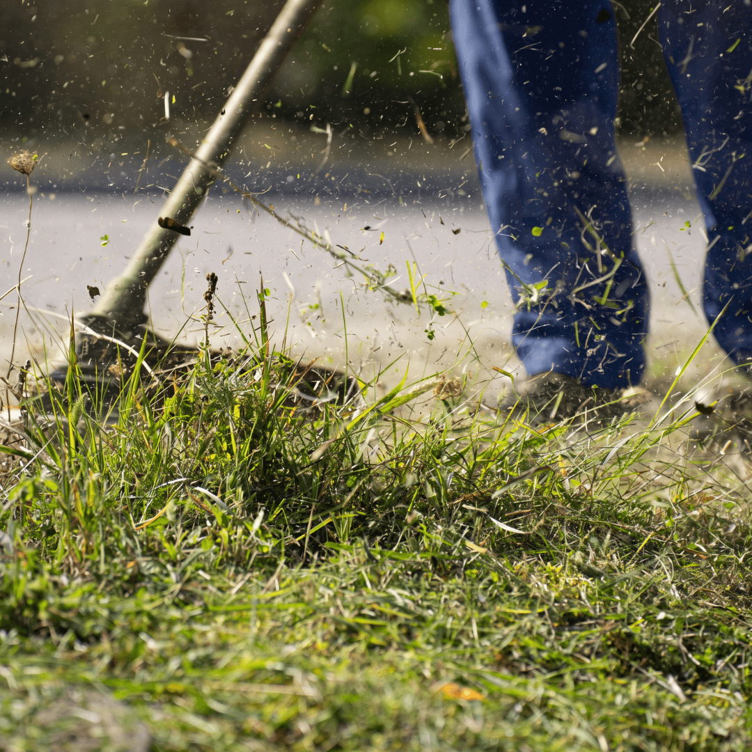 Hedge Trimming