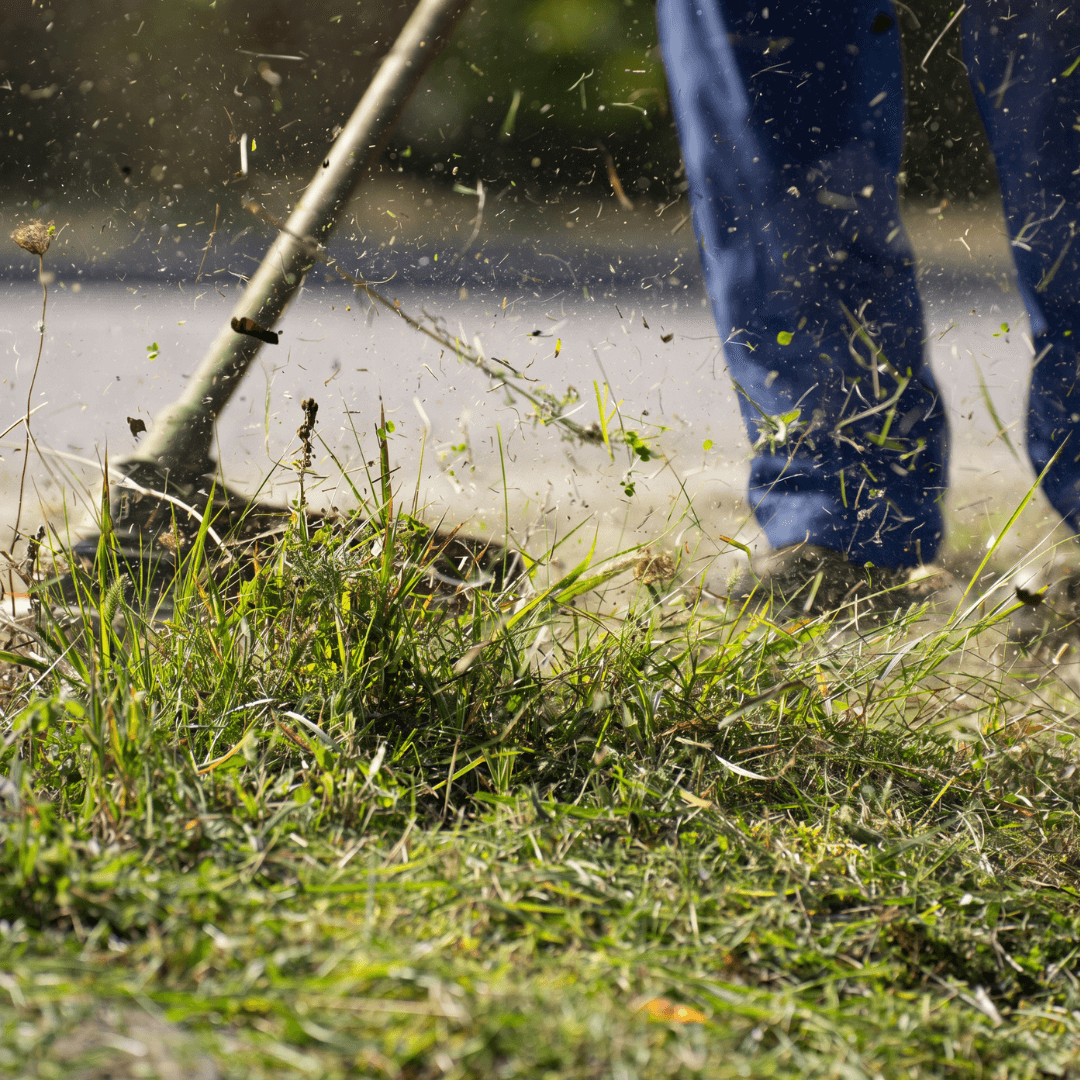 Hedge Trimming